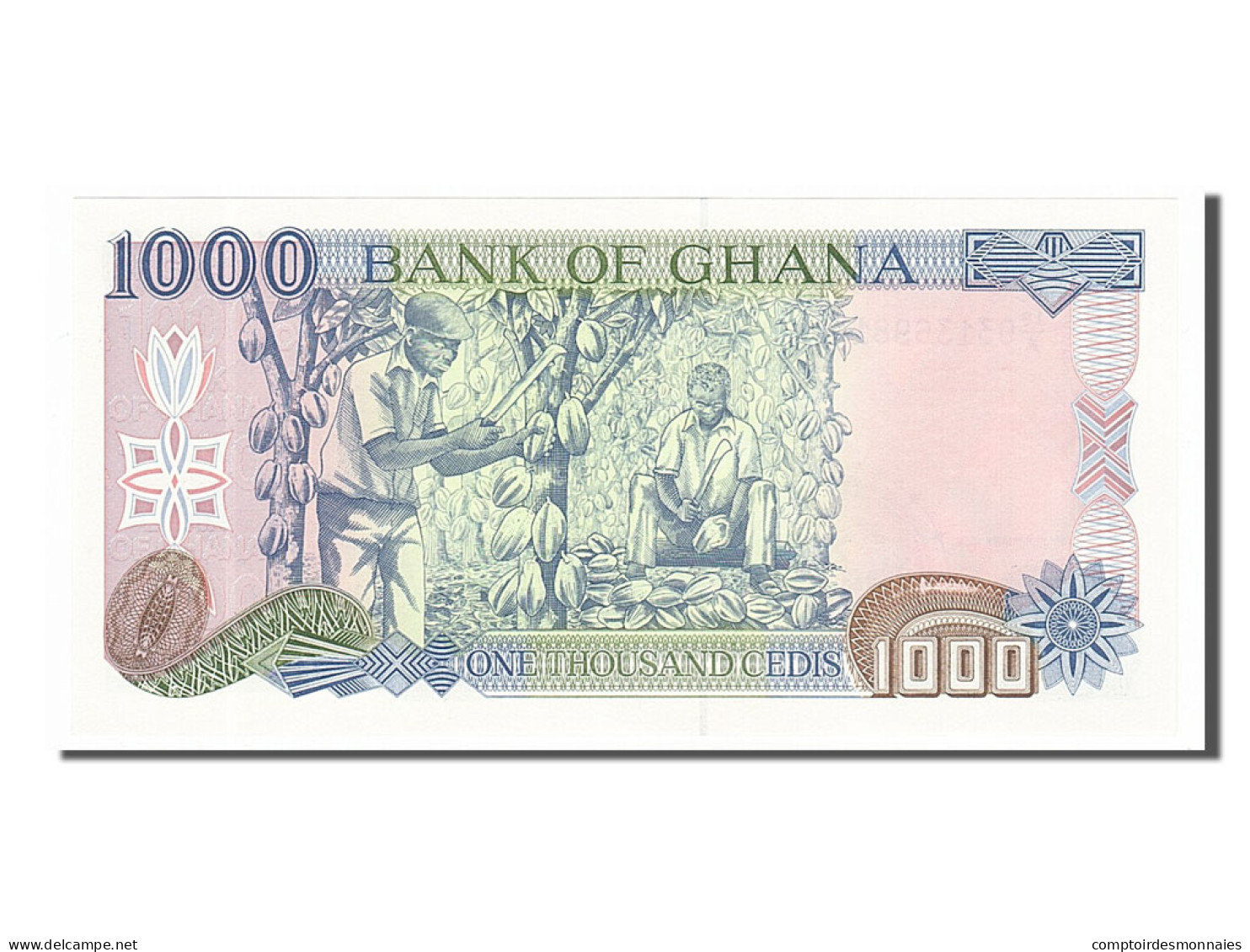 Billet, Ghana, 1000 Cedis, 1996, 1996-02-23, NEUF - Ghana