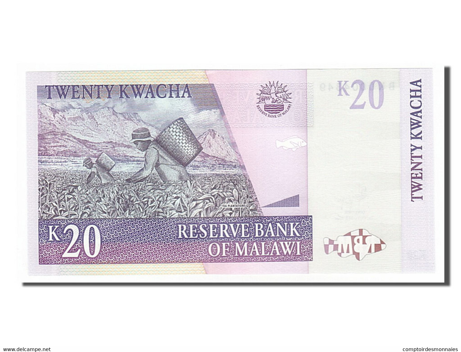 Billet, Malawi, 20 Kwacha, 2009, 2009-10-31, NEUF - Malawi