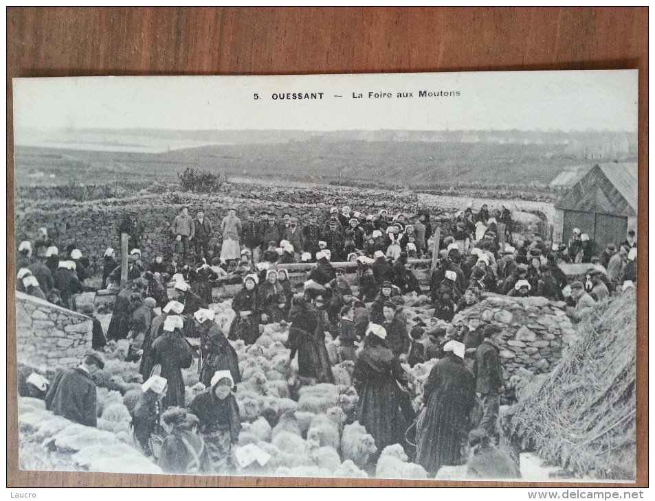 Ouessant.la Foire Aux Moutons - Ouessant