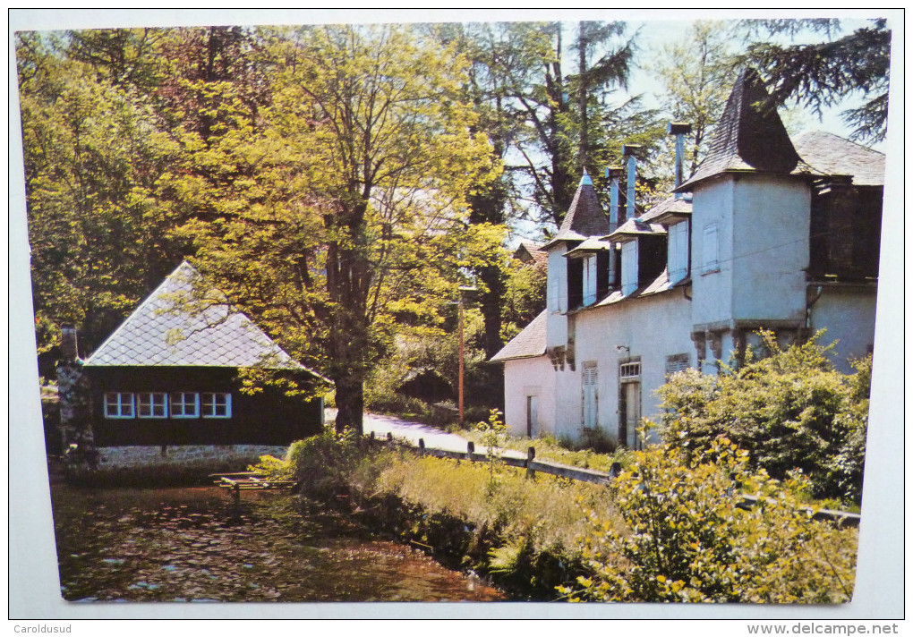 CP St Saint-martial-de-gimel Etang De Taysse A Espagnac Voyagé 1981 Timbre Cachet Espagnac - Otros & Sin Clasificación