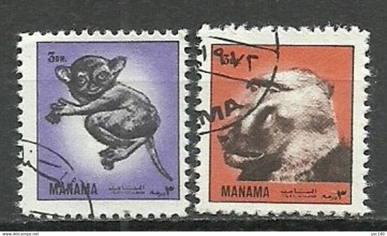 UAE (Manama); Animals - Manama
