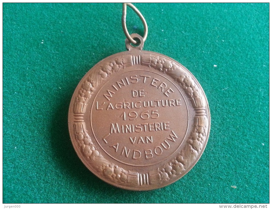 Ministerie Van Landbouw 1965, 43 Gram (medailles0988) - Autres & Non Classés