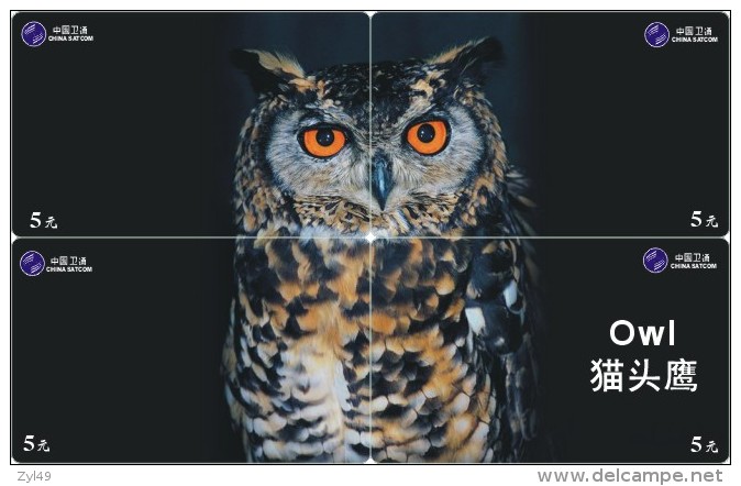 O03177 China Phone Cards Owl Puzzle 32pcs - Eulenvögel