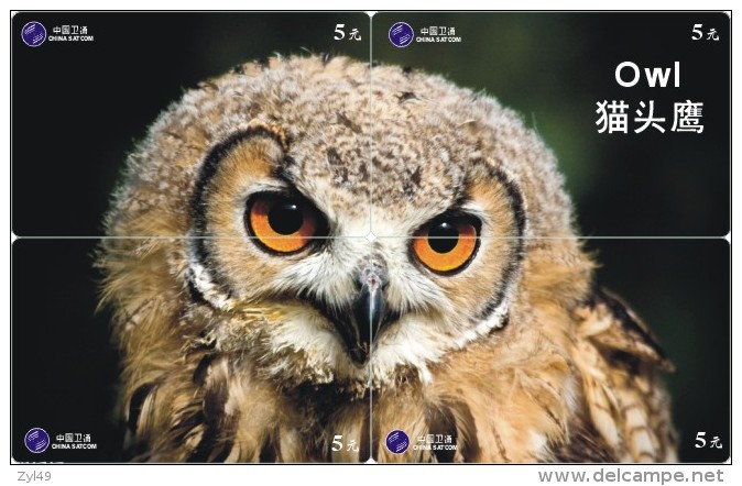O03177 China Phone Cards Owl Puzzle 32pcs - Eulenvögel