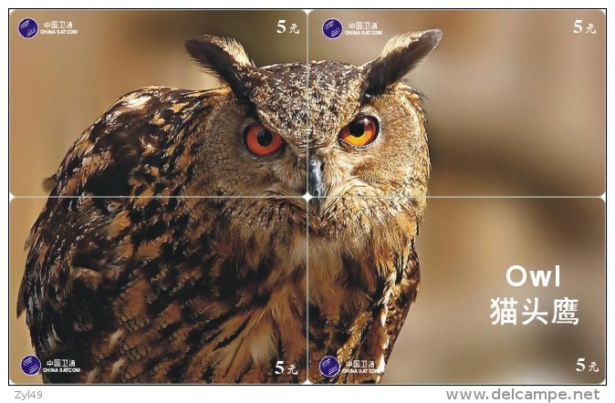 O03177 China Phone Cards Owl Puzzle 32pcs - Eulenvögel