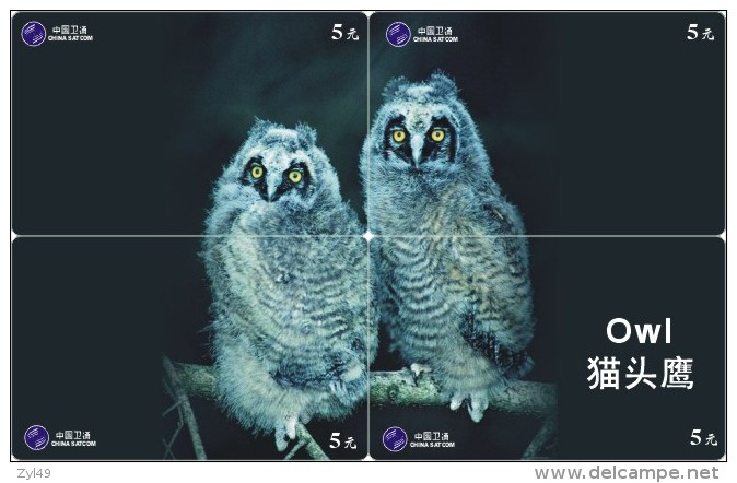 O03177 China phone cards Owl puzzle 32pcs