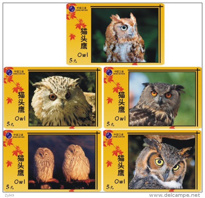 O03182 China Phone Cards Owl 60pcs - Eulenvögel