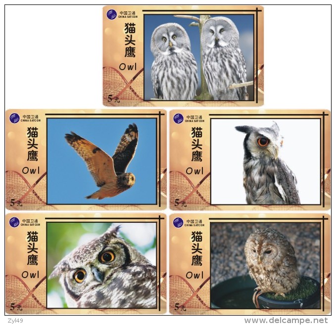 O03182 China phone cards Owl 60pcs