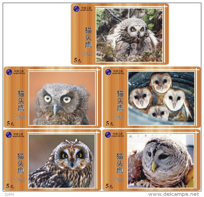 O03182 China phone cards Owl 60pcs