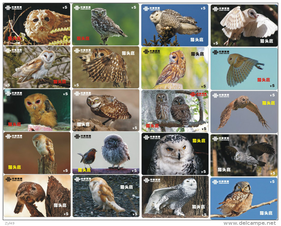 O03193 China Phone Cards Owl 20pcs - Eulenvögel