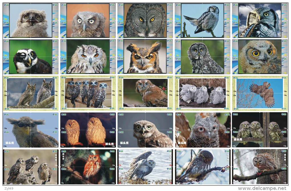 O03199 China Phone Cards Owl Puzzle 100pcs - Eulenvögel