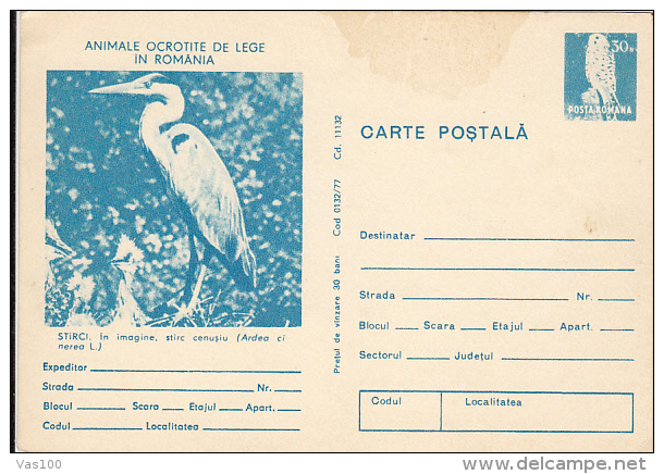 BIRDS, GREY HERON, PC STATIONERY, ENTIER POSTAL, 1977, ROMANIA - Pelícanos