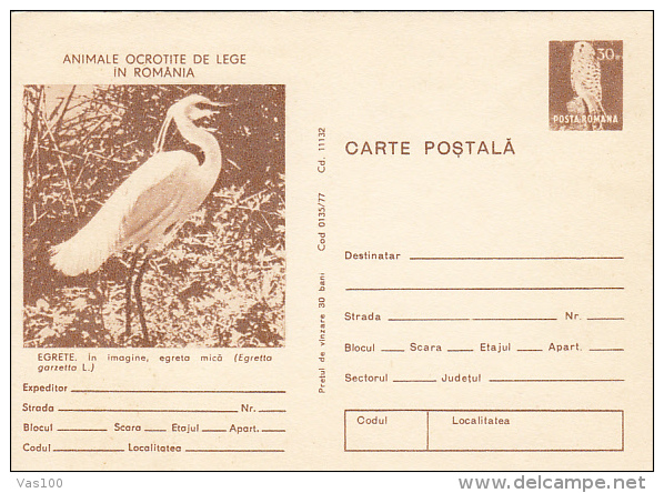 BIRDS, LITTLE EGRET, PC STATIONERY, ENTIER POSTAL, 1977, ROMANIA - Pelikanen