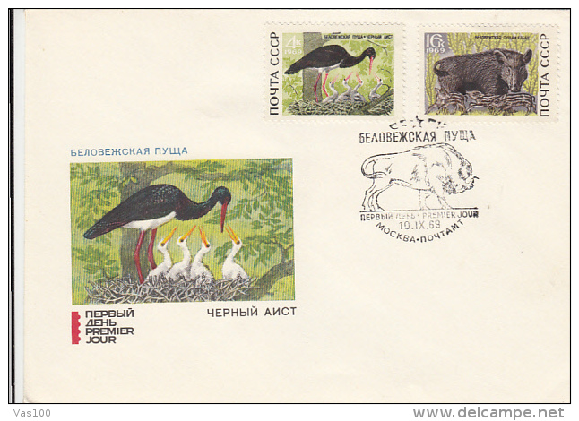 BIRDS, BLACK STORK, COVER FDC, 1969, RUSSIA - Cigognes & échassiers