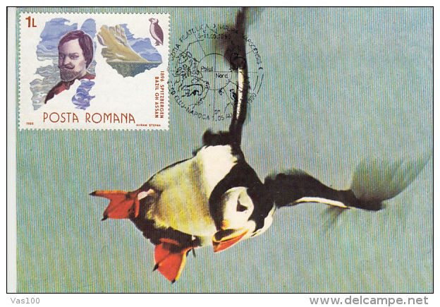 BIRDS, ATLANTIC PUFFIN, CM, MAXICARD, CARTES MAXIMUM, 1990, ROMANIA - Albatros & Stormvogels