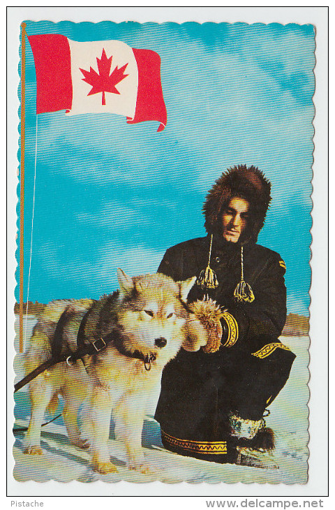 Yukon - Royal Canadian Mounted Police RCMP - Harness Dog - Gendarme Chien Attelage - Stamp & Postmark 1970 - 2 Scans - Yukon