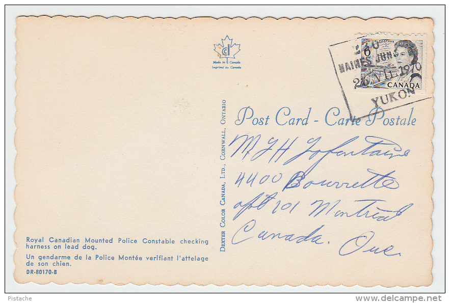 Yukon - Royal Canadian Mounted Police RCMP - Harness Dog - Gendarme Chien Attelage - Stamp & Postmark 1970 - 2 Scans - Yukon