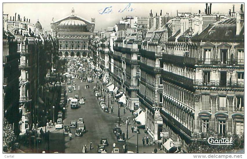 75 - PARIS - Avenue De L'Opéra - Transport Urbain En Surface