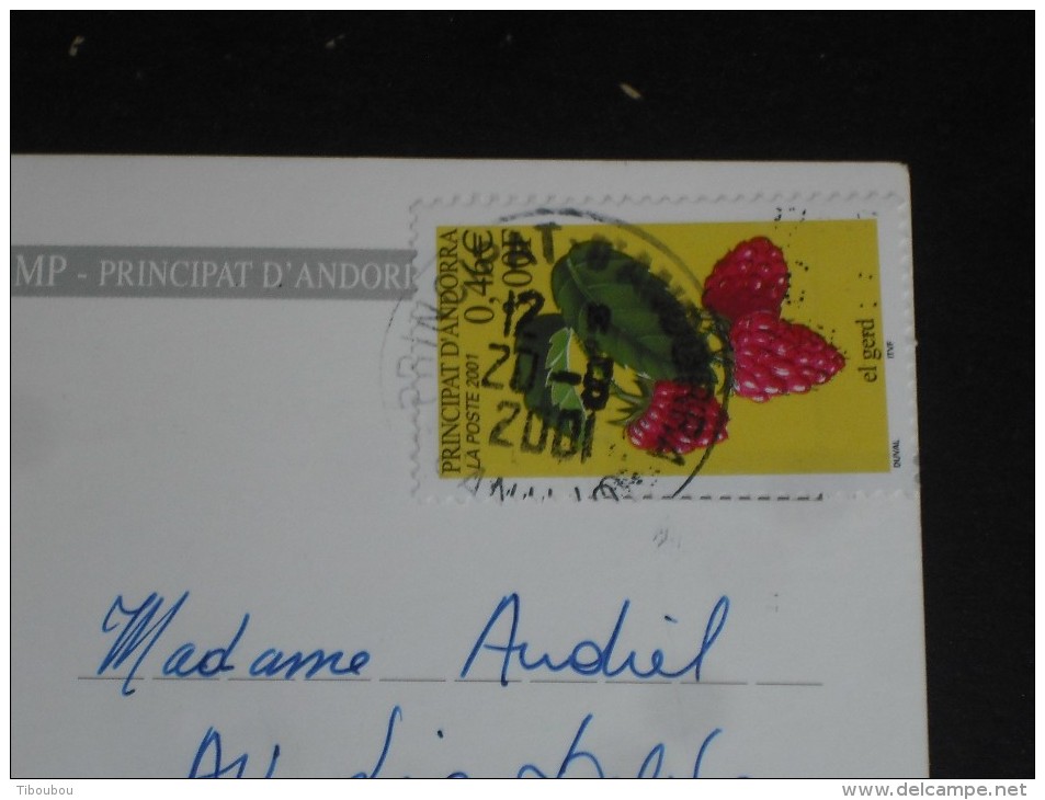 LETTTRE ANDORRE ANDORRA AVEC YT 547 - FLORE FLEUR FRUIT FRAMBOISE - CPM PAS DE LA CASA - CHAT CHATON - - Covers & Documents