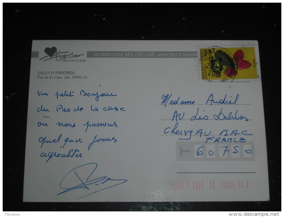 LETTTRE ANDORRE ANDORRA AVEC YT 547 - FLORE FLEUR FRUIT FRAMBOISE - CPM PAS DE LA CASA - CHAT CHATON - - Storia Postale