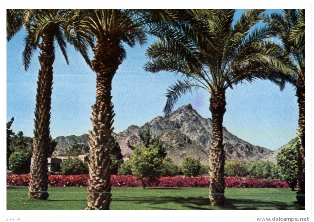 (987) Older Postcard - USA - Arizona - Phoenix Squaw Peak - Phoenix