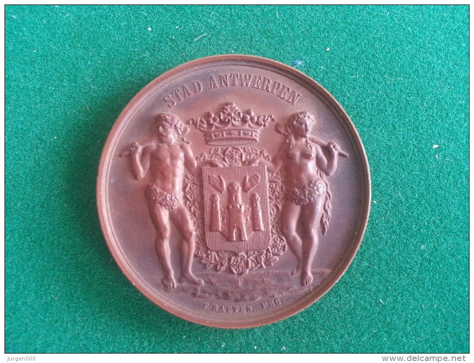Maatschappij Voor Doofstommen 1885 Stad Antwerpen (F. Baetes), 58 Gram (medailles0030) - Autres & Non Classés