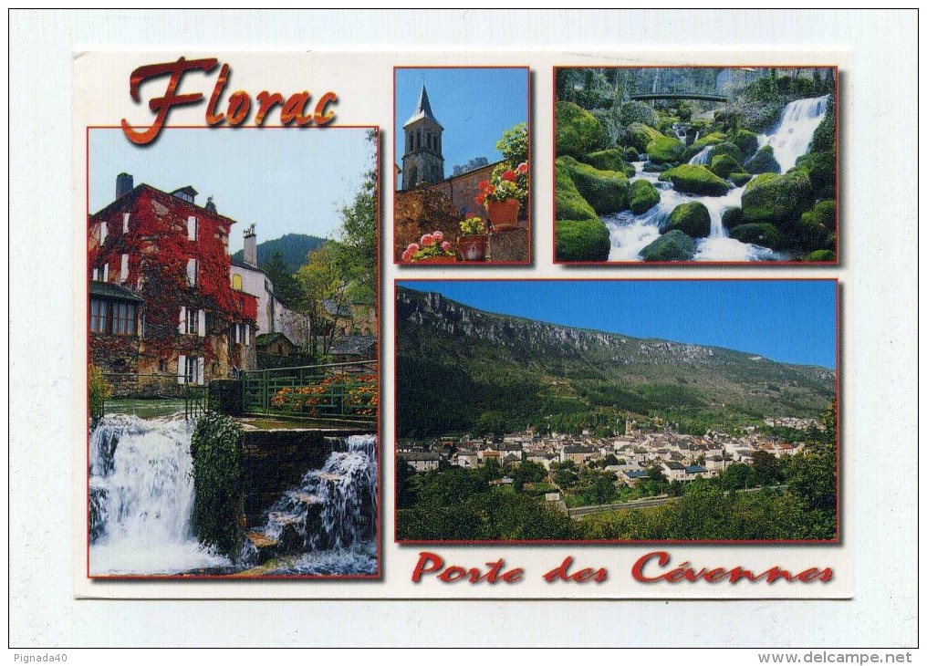 CP , 48 , FLORAC , Porte Des Cévennes - Florac