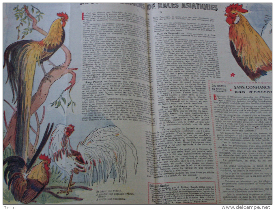 N°13 RUSTICA 26 Mars 1950 LE JOURNAL UNIVERSEL DE LA CAMPAGNE Il Faut Que Votre Cheval Soit Bien Ferré...COQ - Animales