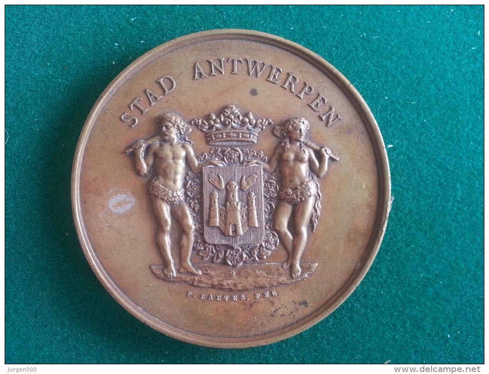 Antwerpen's Rubenskring, Handel En Nijverheidstentoonstelling 1887 (F. Baetes), 119 Gram (medailles0051) - Autres & Non Classés
