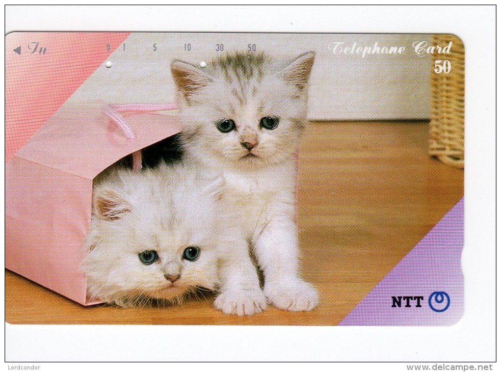 JAPAN - NTT Telephone Card - Animals, Cats - VF USED - Japan