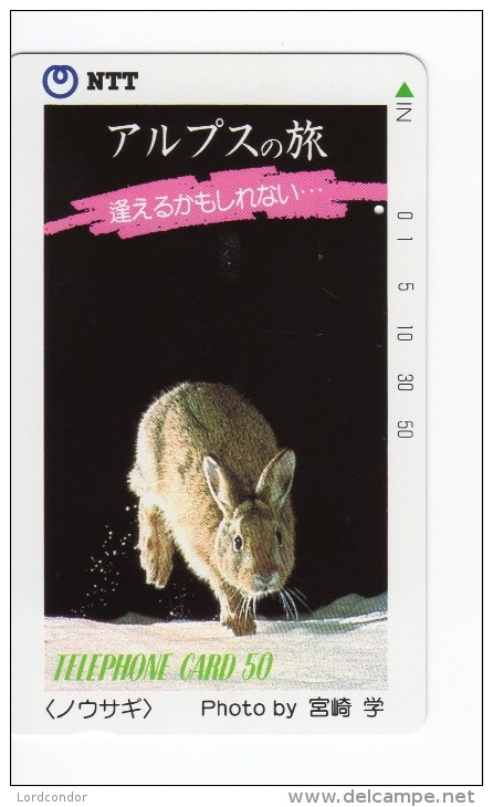 JAPAN - NTT Telephone Card - Animals, Rabbit - VF USED - Japan
