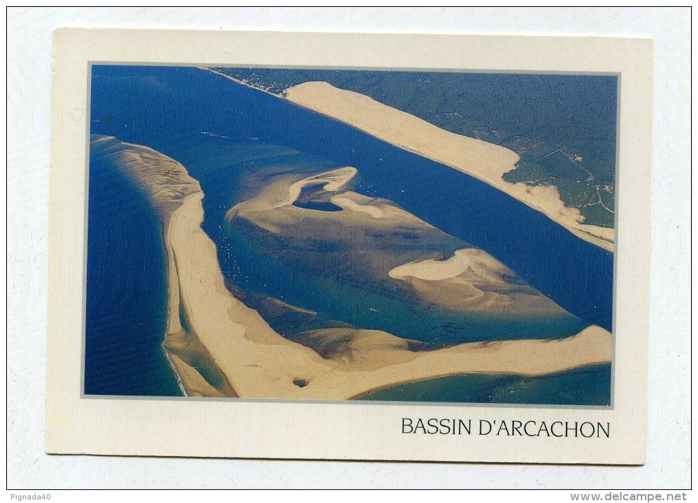 CP , 33 , BASSIN D' ARCACHON , Le Banc D'Arguin Devant La Dune Du Pilat - Arcachon