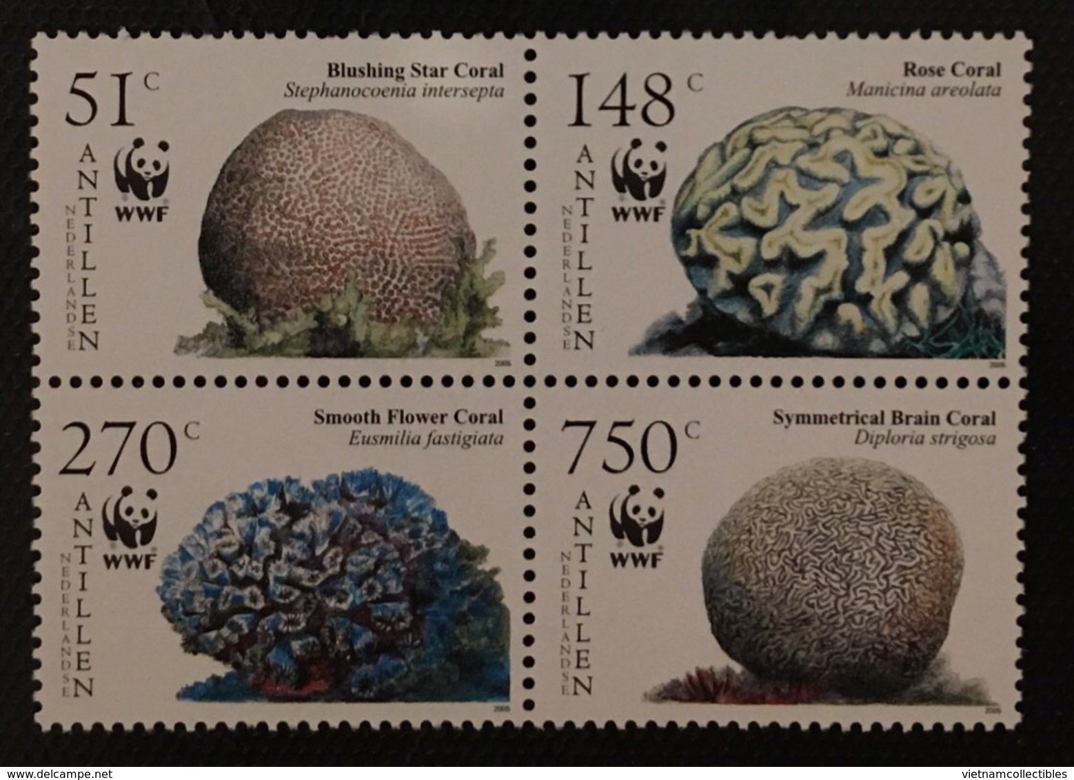 (WWF-373) W.W.F Netherlands Antilles Caribbean Corals MNH Perf Stamps 2005 - Unused Stamps