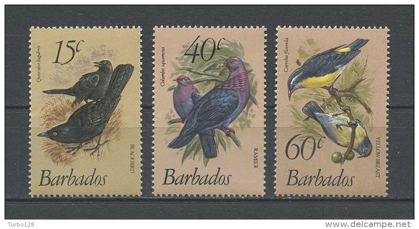 BARBADES 1982  N° 545/547 ** Neufs = MNH Superbes  Cote 18,50 € Faune Oiseaux Birds Fauna Animaux - Barbados (1966-...)