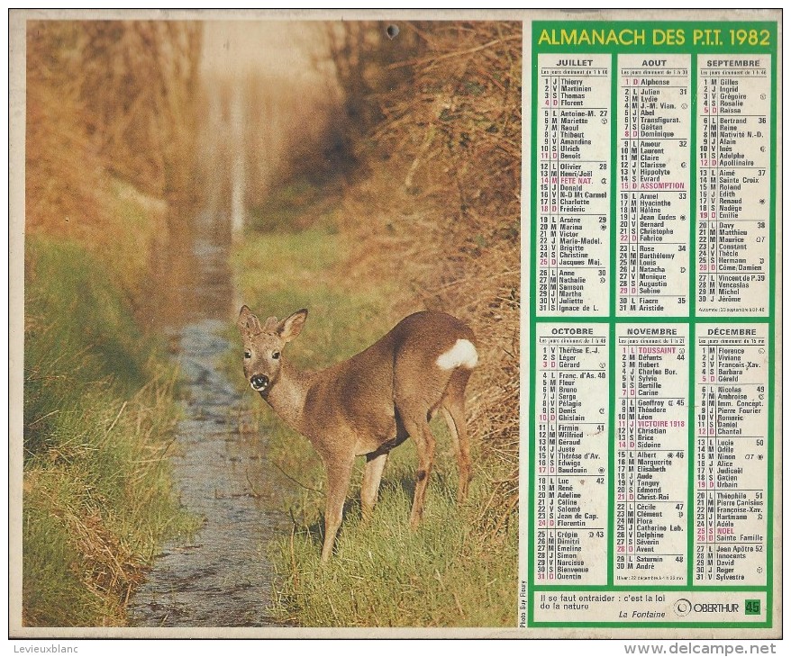 Almanach Des PTT/Avec Dossier Central/Laie Marcassins Et Chevreuil /Hts De  Seine/ Seine St Denis/Val De M /1982  CAL186 - Tamaño Grande : 1941-60