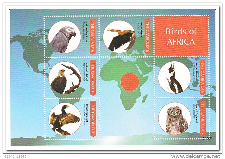 Gambia 2011 Postfris MNH, Birds - Gambie (1965-...)