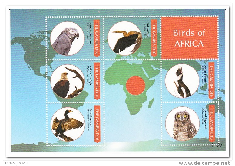 Gambia 2011 Postfris MNH, Birds - Gambia (1965-...)