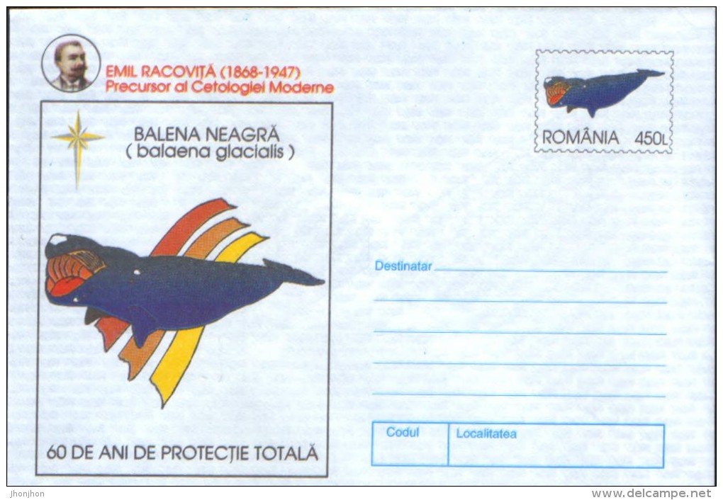 Romania- Postal Stationery Cover Unused 1997- Black Whale ; E.Racovita Precursor Of Modern Cetologie - Ballenas