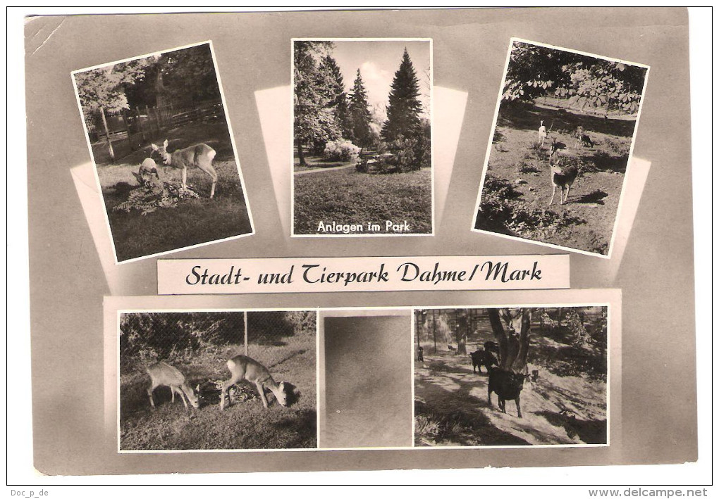 Deutschland - Dahme ( Mark ) - Stadt Und Tierpark - Dahme