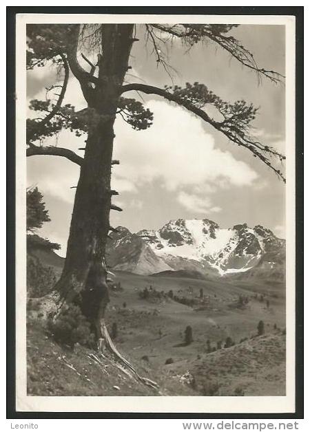 BUFFALORA Giuf Plan Calancatal Phot. R. Grass Zernez Ofenpass Ca. 1955 - Calanca