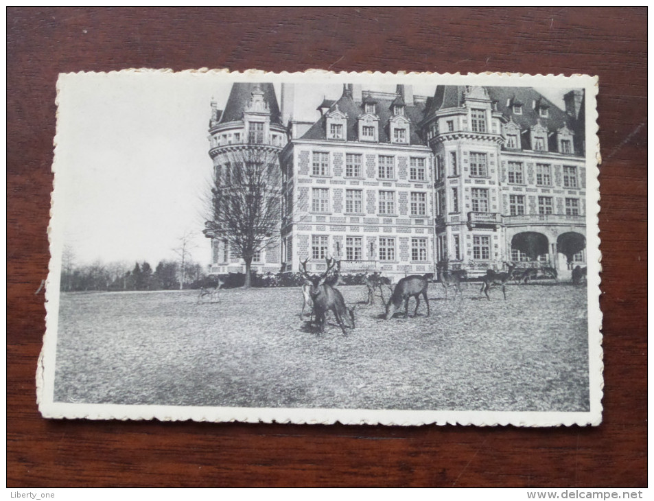 Domaine De ROUMONT Le Chateau Anno 19?? ( Zie Foto Voor Details ) !! - Libramont-Chevigny