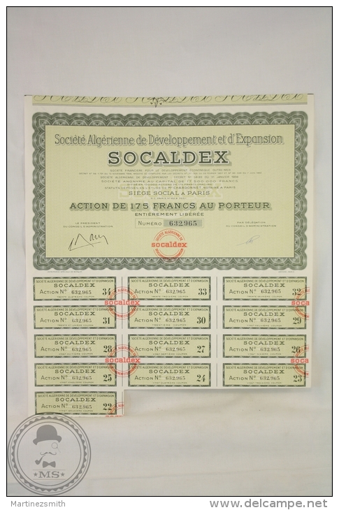 Old Share - Action Societe Algerienne De Developpement Et D´ Expansion SOCALDEX - Paris - 175 Francs - 1958 - Otros & Sin Clasificación