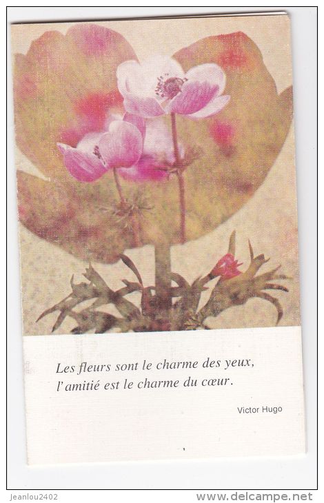 CALENDRIER DE POCHE 1981 - Klein Formaat: 1981-90