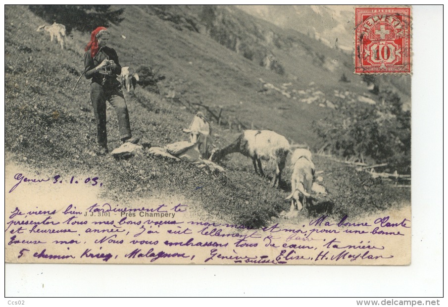 Près Champéry Paysanne Chèvres Ziege 1905 - Champéry