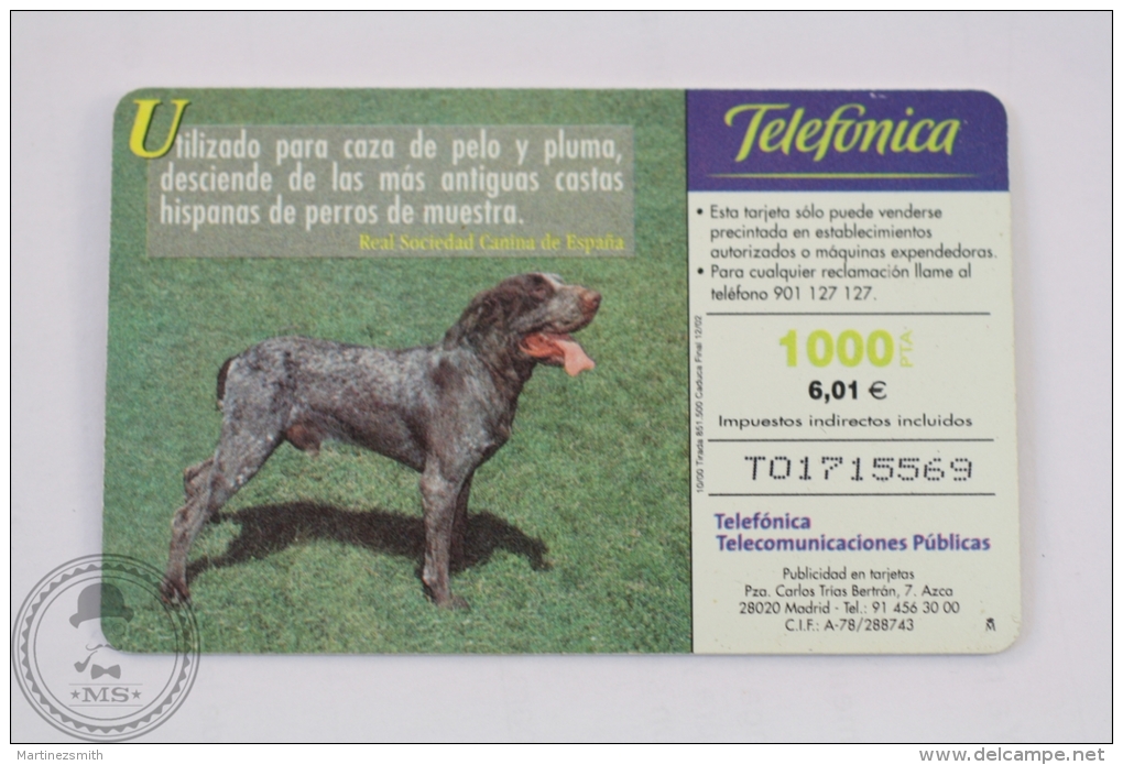 Spanish Collectible  Phone Card Telefonica: Razas Caninas Ibericas: Perdiguero De Burgos/ Burgos Pointer - Perros