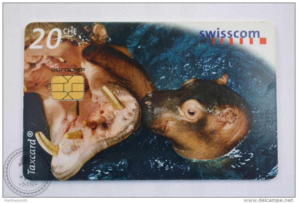 Switzerland Collectible  Phone Card: Young And Wild/ Basel Zoo/ Hippopotamus - Otros & Sin Clasificación