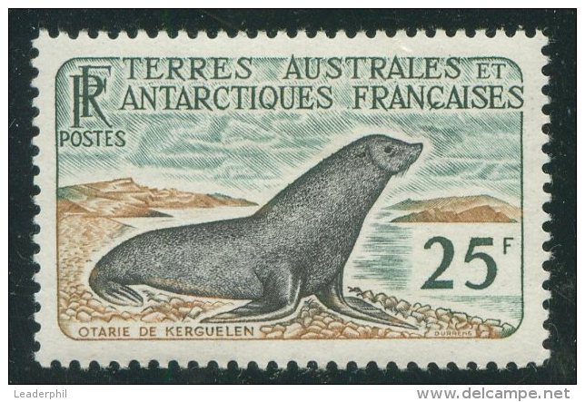 ANTARCTICA FRANCE - SEAL Yvert 16 MH - Other & Unclassified