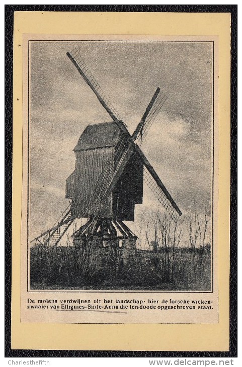 EXTRAIT DE JOURNAL DE 1930 * LE MOULIN DE ELLIGNIES Ste ANNE * DISPARU Et Très Rare!! - Beloeil