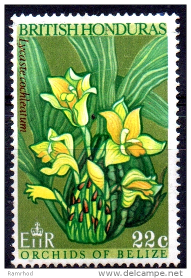 BRITISH HONDURAS 1969 Orchids Of Belize - 22c. - "Lycaste Cochleatum" 	MNG PAPER ATTACHED - British Honduras (...-1970)