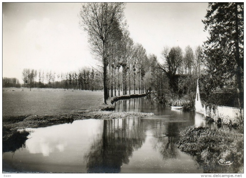 Reugny. Bords De La Brenne. - Reugny